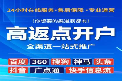 SEO与SEM融合策略：成功案例解析